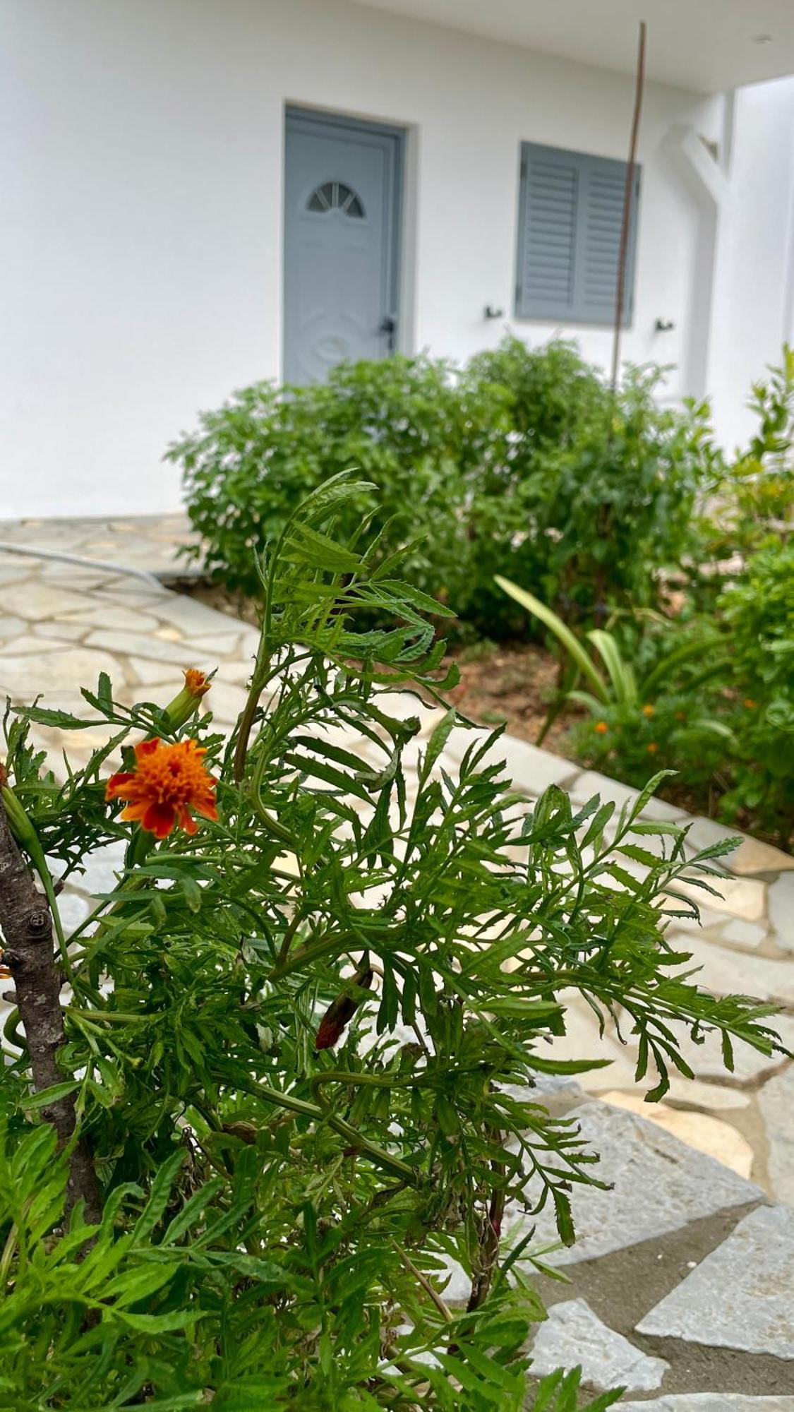Tasos Rooms Himarë Dış mekan fotoğraf